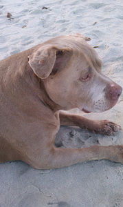 Meet your Posher, Dolores